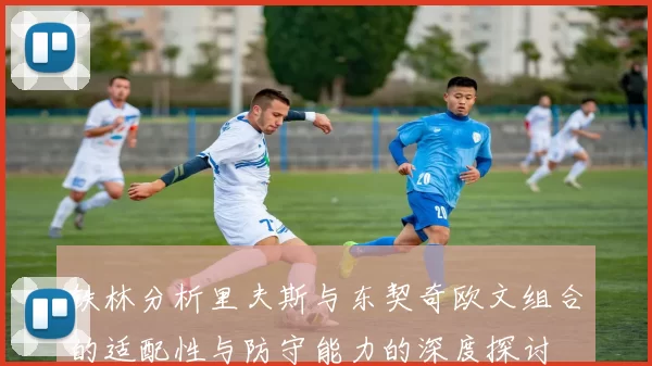 铁林分析里夫斯与东契奇欧文组合的适配性与防守能力的深度探讨